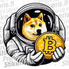 Doge 1 - Lipdukų gamyba ir prekyba | Lipdukai internetu