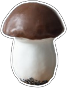 Grybų lipdukas