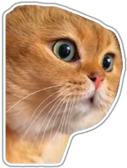 Mielas katinukas lipdukas