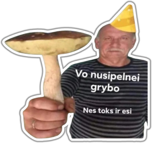Vo nusipelnei grybo lipdukas