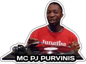 MC PJ Purvinis lipdukas