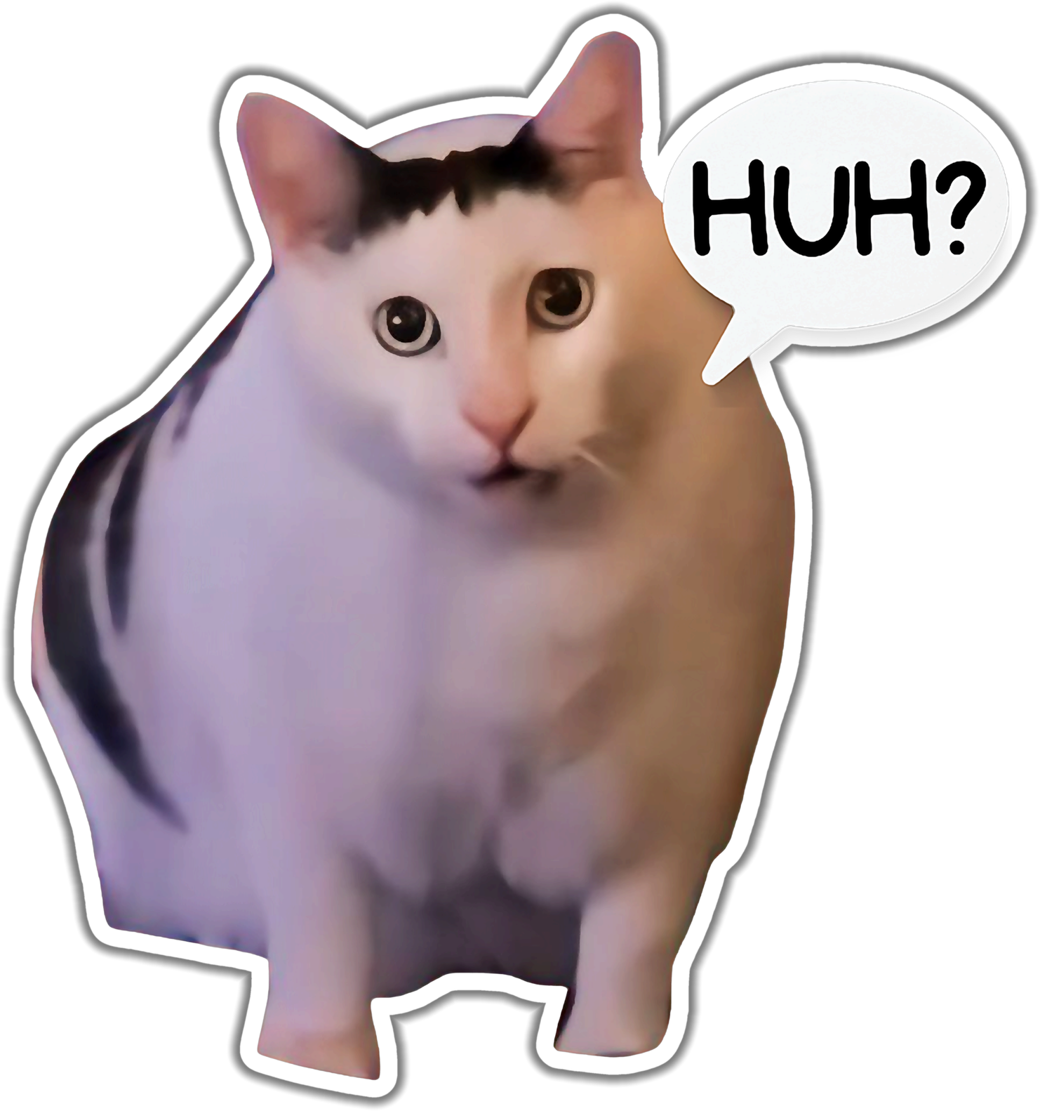 Katinukas su klausimu 'HUH?' lipdukas