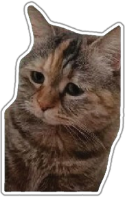 Mielas katinukas lipdukas