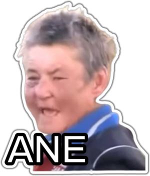Ane lipdukas