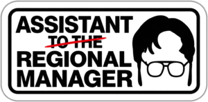 Regional manager lipdukas