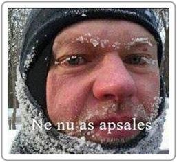 apšalęs